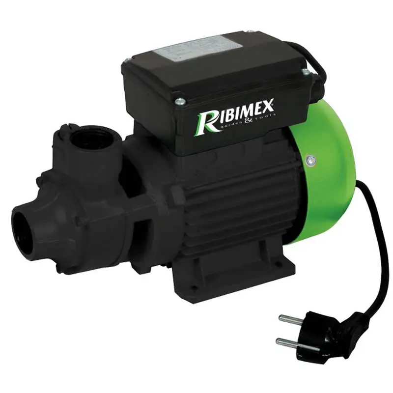 Snelle Levering Pompa travaso gasolio Ribimex PRPC115