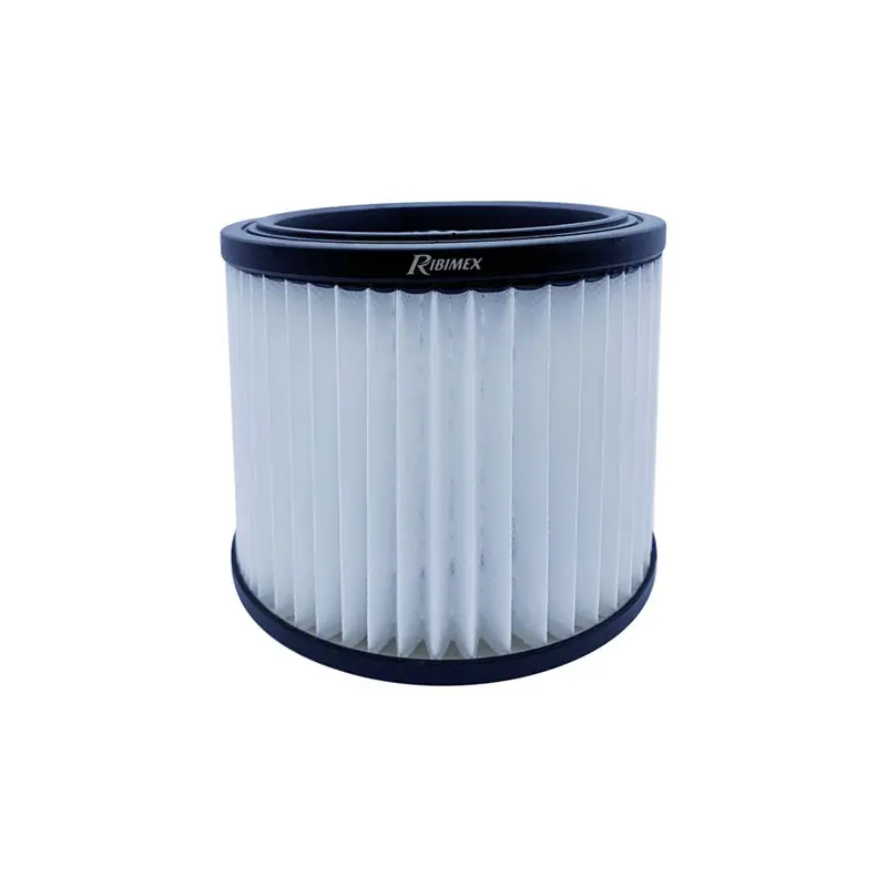 Filtro HEPA per Bidoni Aspiratutto Ribimex Koopje