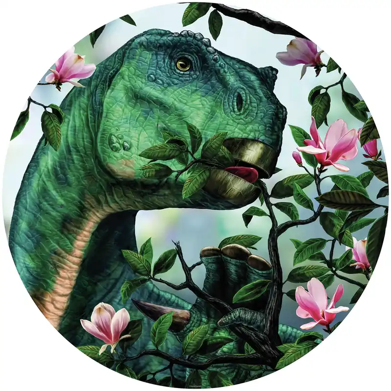 Decoro Adesivo Dot Diam. Cm. 128 National Geographic Komar Shop Nu
