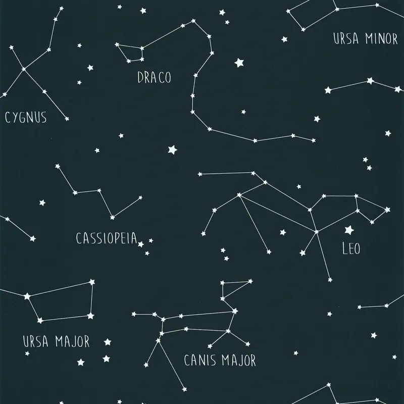 Weekendaanbieding Carta da Parati Our Planet Caselio Wallpaper