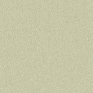 Beperkte Voorraad Carta da Parati JV Design Amazzonia cod. 1001