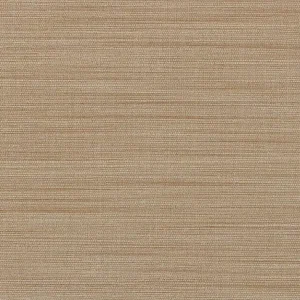 Beperkte Voorraad Carta da Parati JVDesign Amazzonia cod. 1022