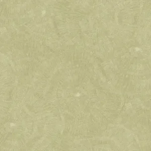 Tijdelijk Beschikbaar Carta da Parati Metamorphosis Cristiana Masi Wallpaper cod. 6625