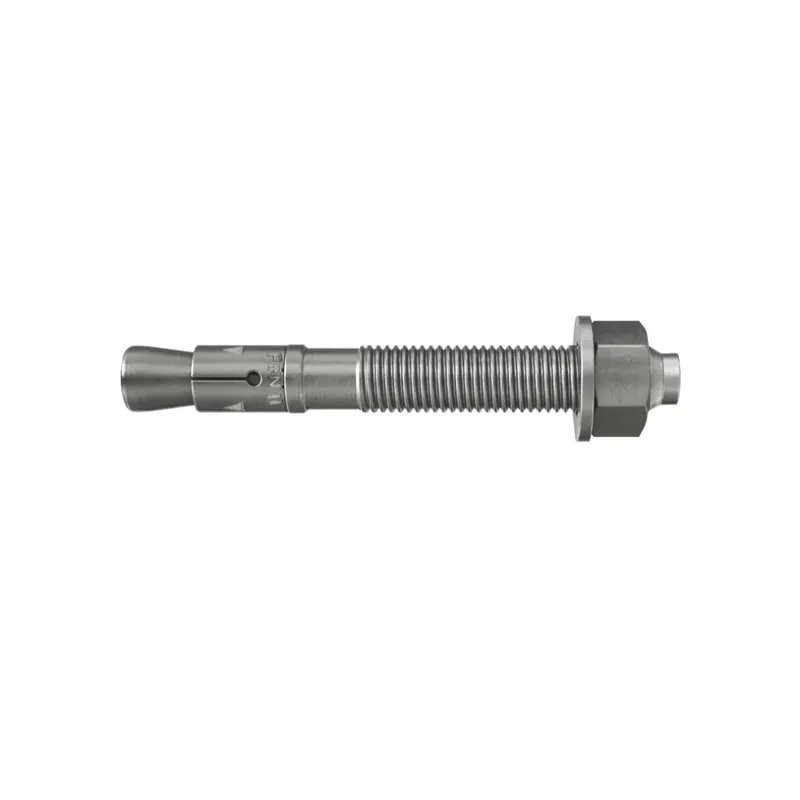 Gereduceerde Prijs Tassello fbn inox fischer 6/10 a4