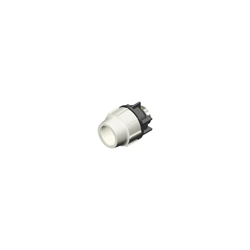 Raccordo femmina x polietilene diam. 40x1-1/4" Meest Verkocht