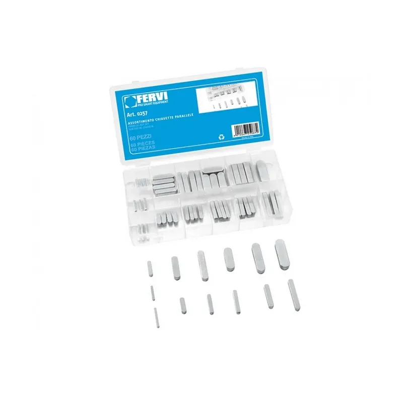 Finale Uitverkoop Assortimento chiavette - parallele pz.60 - fervi