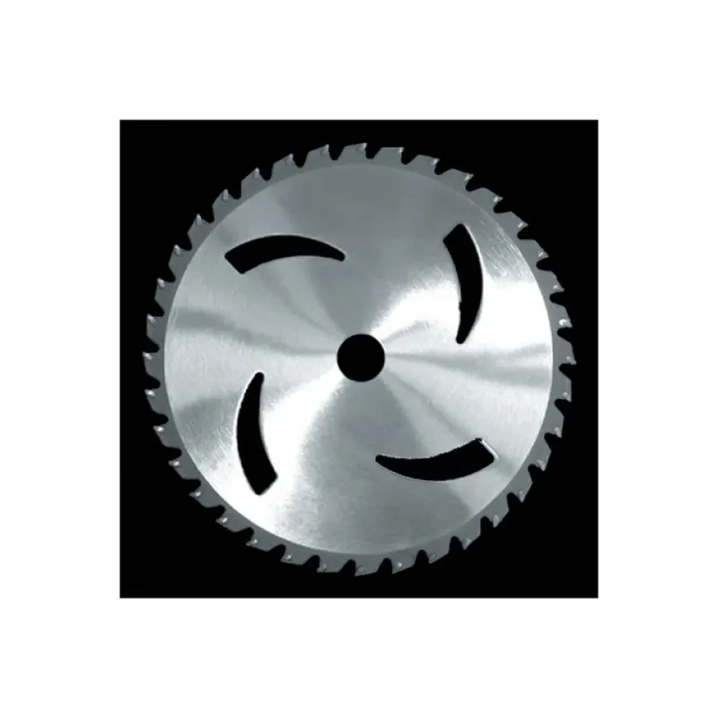 Disco acciaio 40 denti widiam - mm.255 - per rovi e sterpi Gratis Retour