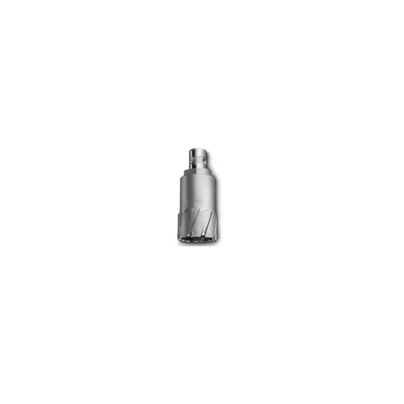 Laatste Versie Corona FEIN HM 21/35 - quick-in