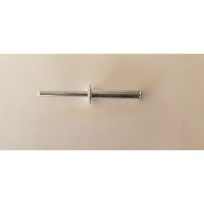 Rivetto testa tonda grin - 6.4 x 20 - ricambio Laatste Versie