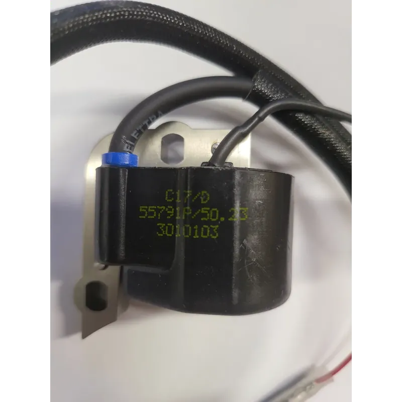 Bobina elettronica - c7-selettra - cifarelli 3010103 Laatste Versie