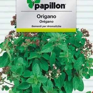 Finale Uitverkoop SEMI ERBA AROMATICA PAPILLON "ORIGANO" - CF. BUSTA 0,3 GR.