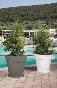 Bestseller SOTTOVASO X GEMMA DIAM. 50 GRIGIO