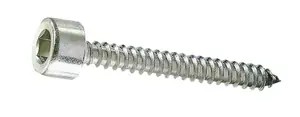 VITE AUTOFILETTANTE TCEI TCEI mm 4,8 x 32 Favoriet