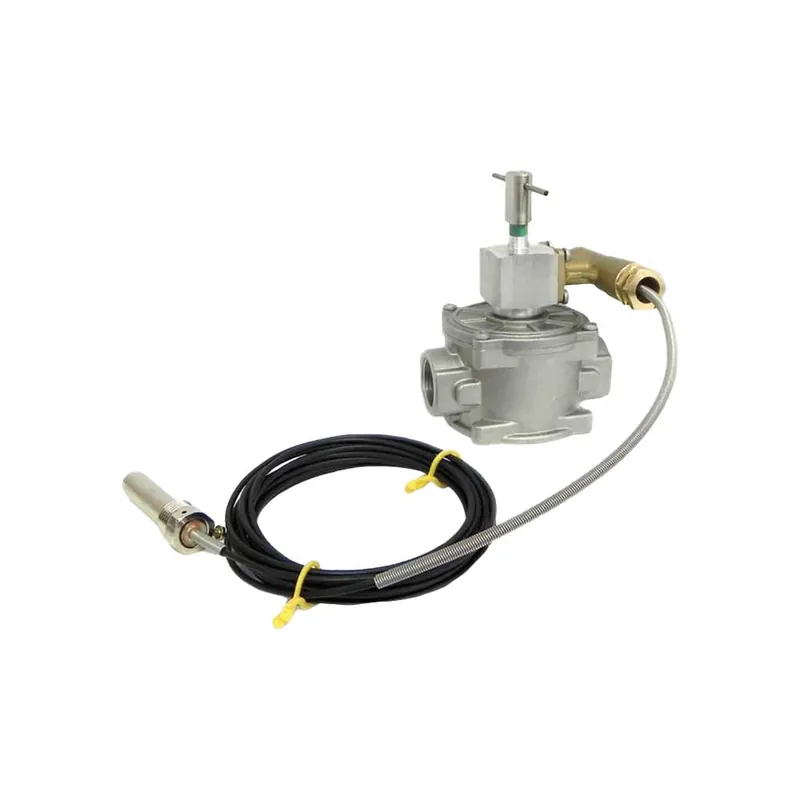 . Modello Dn 50 Filettata 1"1/2 Nu Kopen