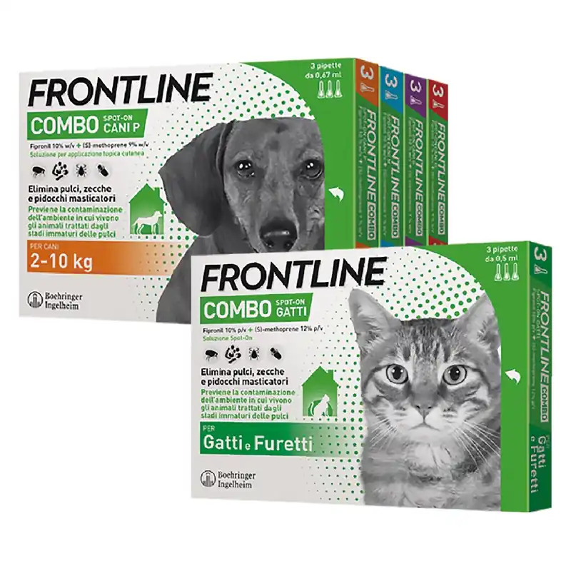 Must-Have ANTIPARASSITARIO ‘FRONTLINE COMBO‘ cani 10/20 kg - 3 pipette ml 1,34. Modello cani 10/20 kg - 3 pipette ml 1,34