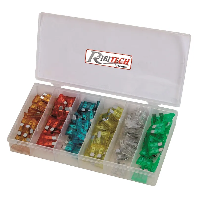 ASSORTIMENTO FUSIBILI 120 pezzi Must-Have