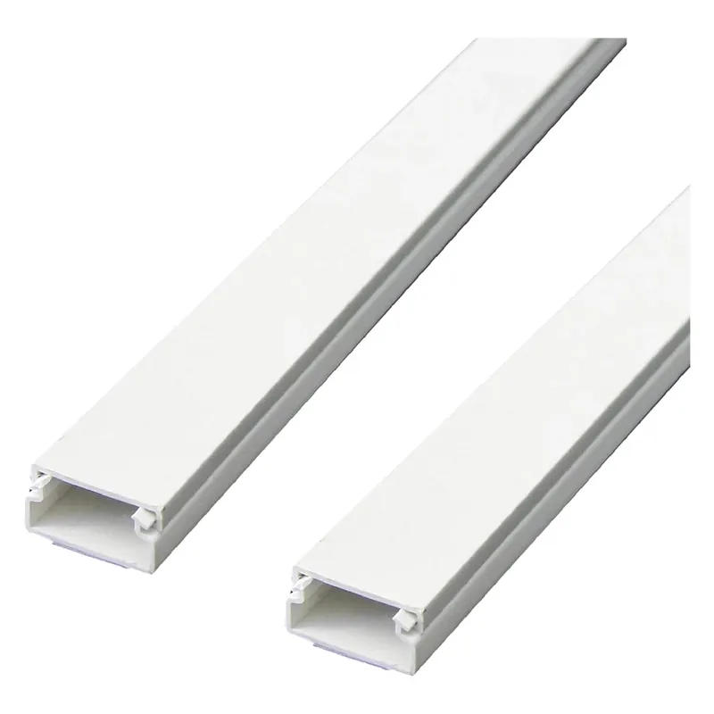 CANALINA PASSACAVI ADESIVA mm 20 x 10 - 2 pz da 1 mt. - 60775 Laatste Versie