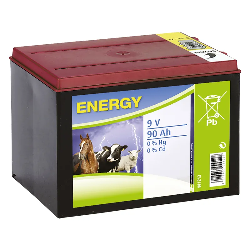 Gereduceerde Prijs BATTERIA PER ELETTRIFICATORE 9V - 170 Ah