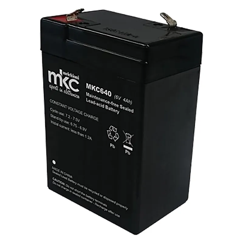 BATTERIA RICARICABILE small mm.67 x 34 x h.99 - 3,2 Ah Laatste Versie