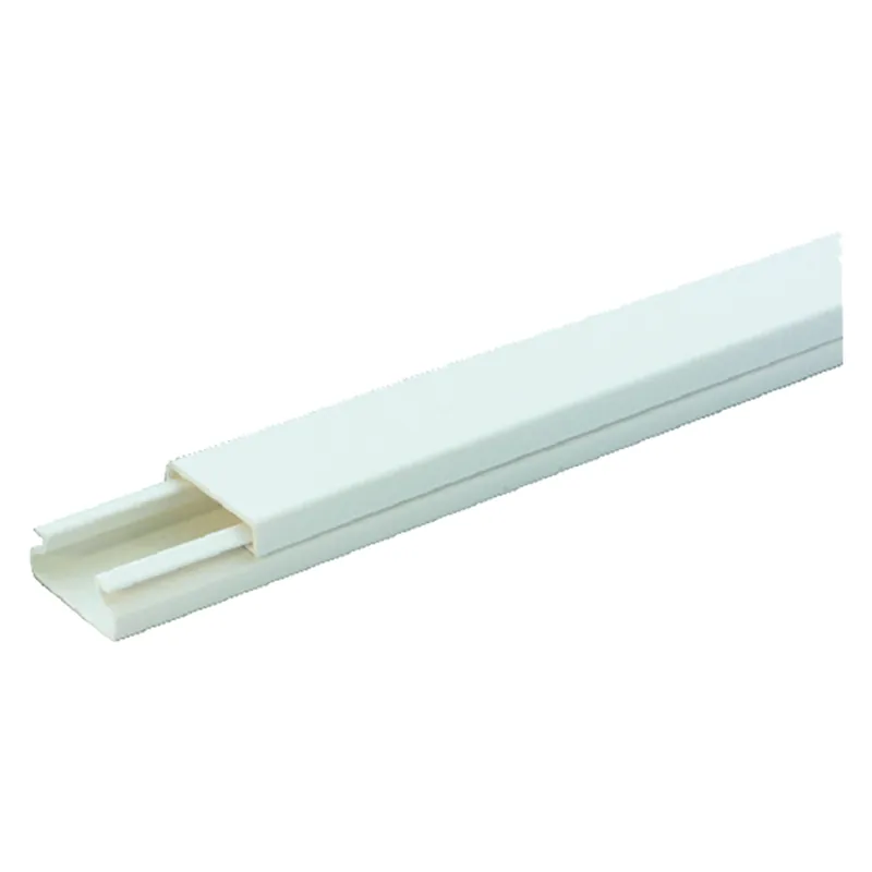 Weekendaanbieding CANALINA PASSACAVI mm 15 x 17 - mt. 2 - art.61135 (senza separatore) Q.TA 10