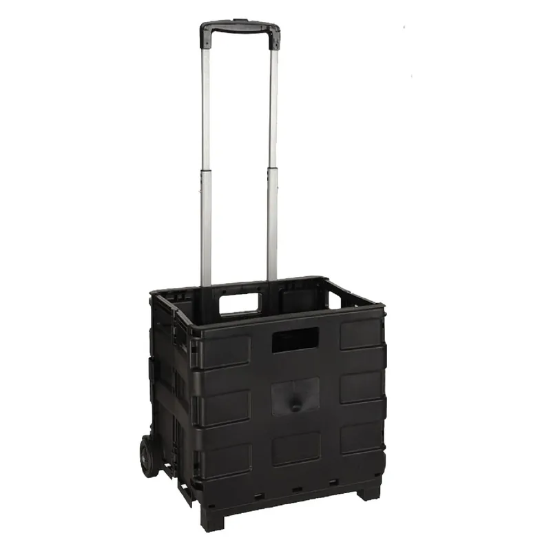 Voordeelprijs CARRELLO CESTA MULTIUSO PIEGHEVOLE portata 18 kg