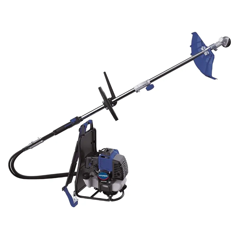 Laatste Kans DECESPUGLIATORE A ZAINO TT-BG520 Hp 3 - cc 52