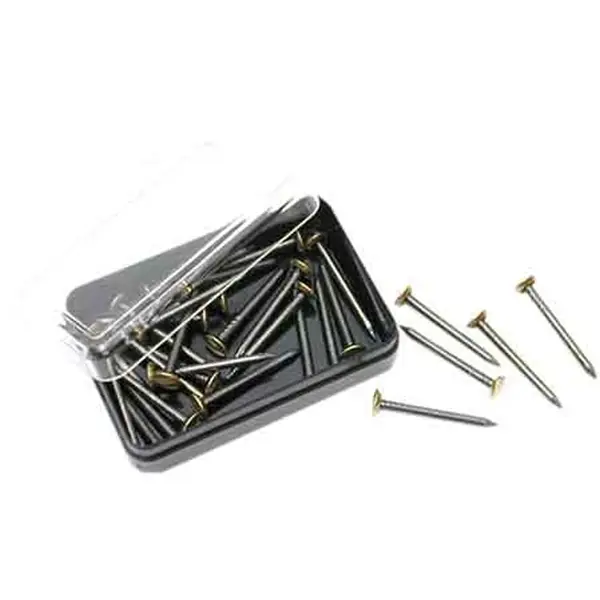 Uitverkoop CHIODINI PER GANCI PER QUADRI 25 mm - blister 15 pezzi Q.TA 12