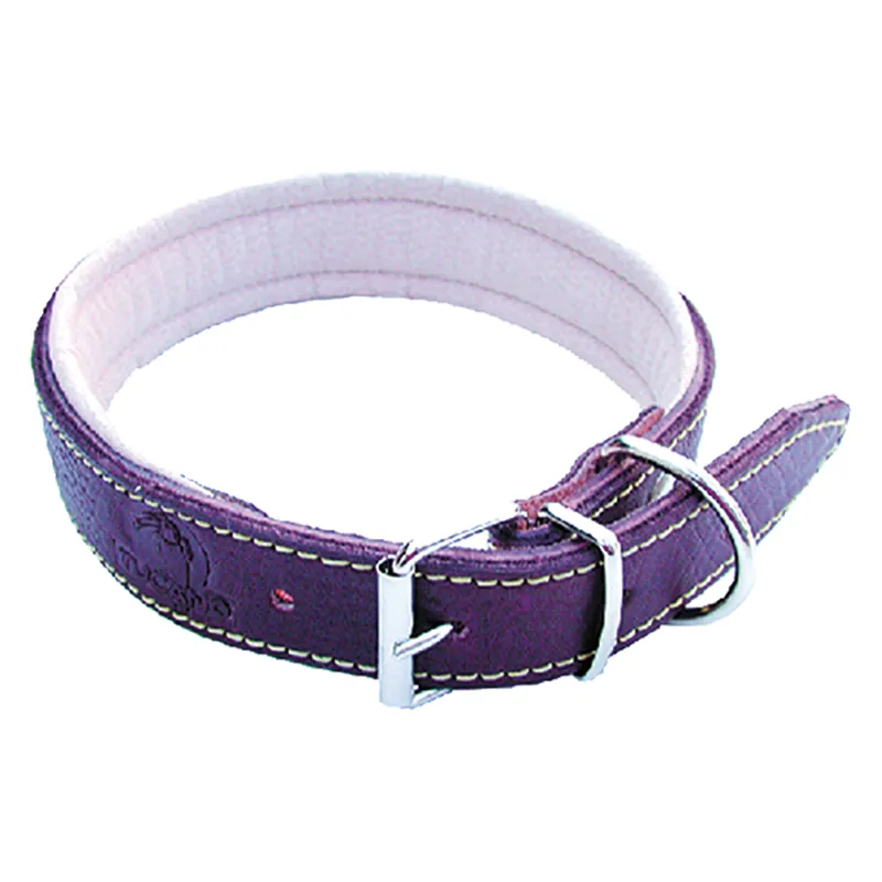 Alleen Vandaag COLLARE PER CANE larg. mm 20 lung.cm 45