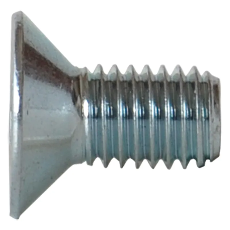 VITE TSP CON CAVA ESAGONALE M 10 x 20 Q.TA 200 Premium
