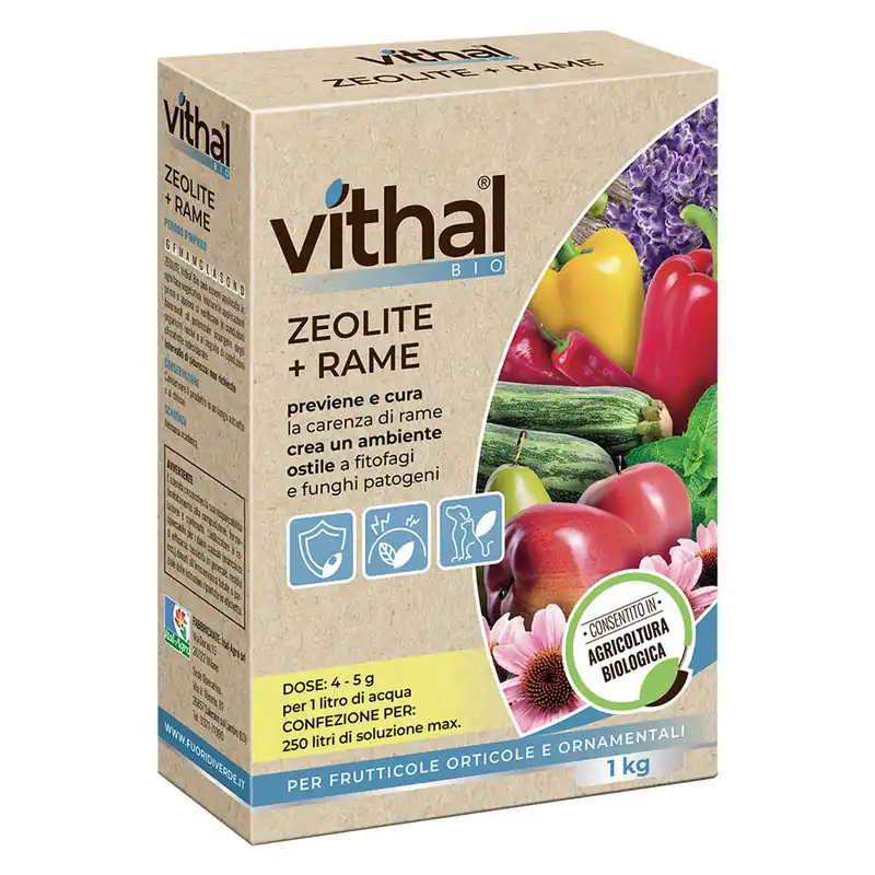 ZEOLITE CON RAME POLVERE MICRONIZZATA Kg.1 Goedkoop